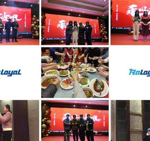 ملخص سنوي رالويال